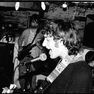 The Moogs